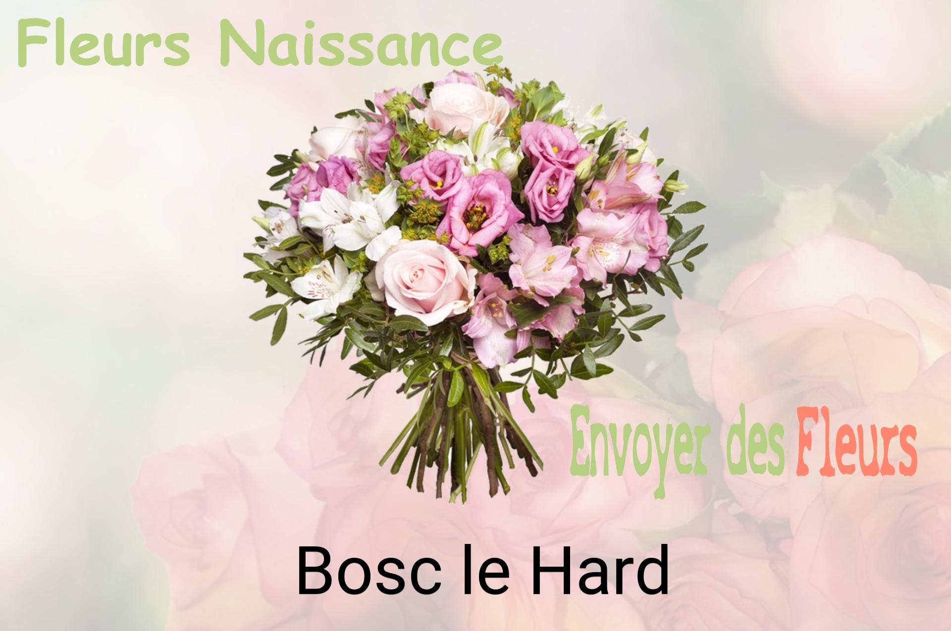 Bouquet de fleurs de naissance livré à Bosc-le-Hard